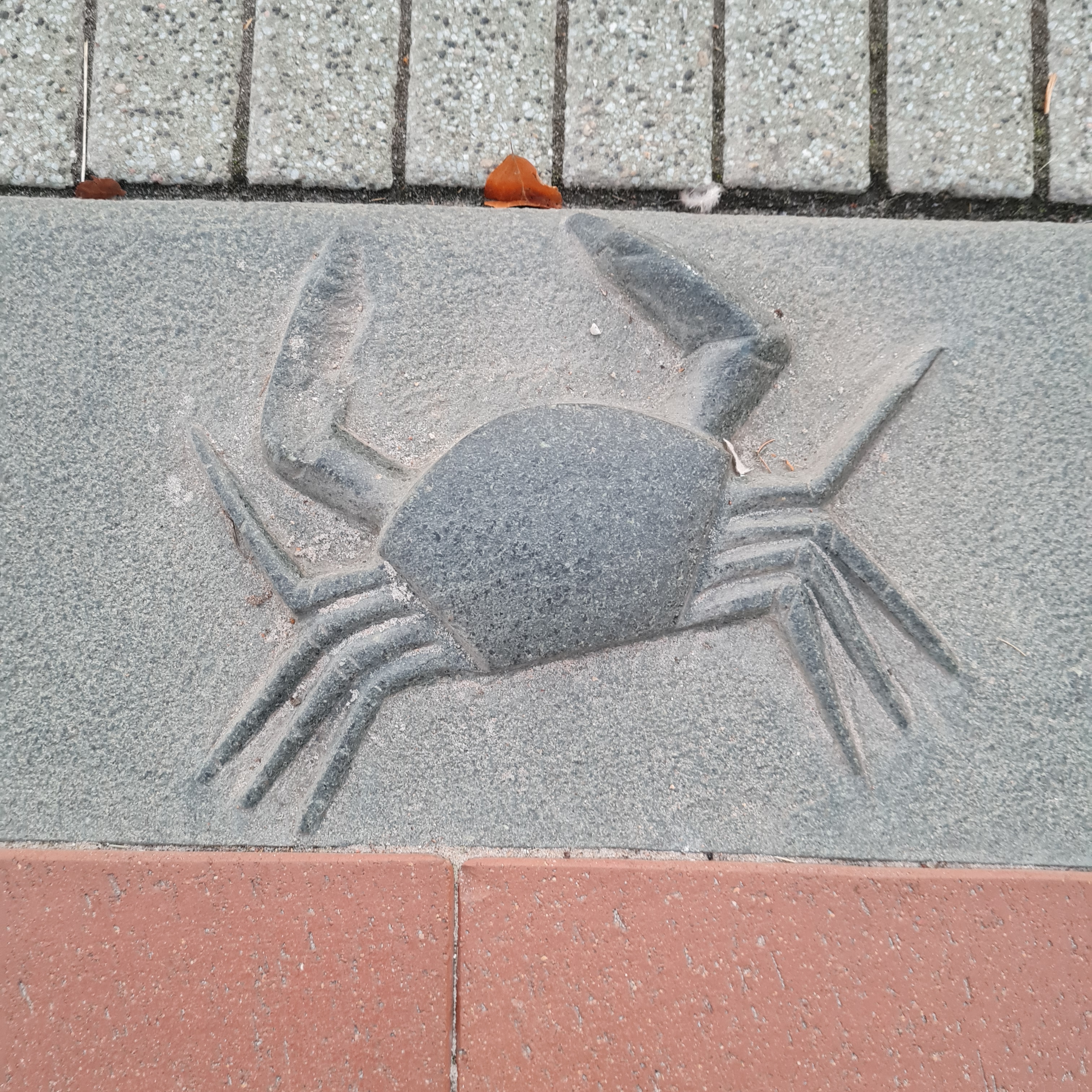 Ein Zier-Rinnstein, der eine Krabbe zeigt.