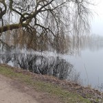 Mein erstes Rollstuhl-Abenteuer am Außenmühlenteich