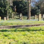 Schöne Fotos vom Alten Friedhof in&nbsp;Harburg