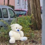 Bild zur Geschichte im&nbsp;Februar