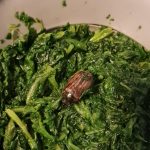 Bild zur Geschichte im&nbsp;April