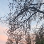 Keine lebenslangen Zwangsoutings!